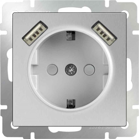 Розетка с заземлением, шторками и USB х2 Werkel WL06-SKGS-USBx2-IP20 серебряный - фото 29832