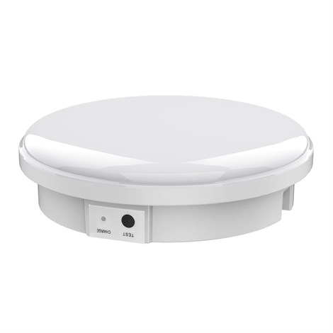 Светильник светодиодный Feron AL3025 с БАП в пластиковом корпусе 12W 4000K IP65 белый - фото 73786