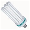 Энергосберегающая лампа Foton Lighting ESL 8U17 250W/6400K E40 - фото 21344