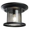 Светильник садово-парковый Feron PL723 на потолок  60W E27 230V, черный - фото 68690