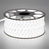 SST20 SAFFIT 60SMD(2835)/м 6Вт/м 220V 50м , 4000K, IP65 - фото 72802