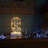 Световая фигура "Колба с Нитью Роса" 50LED 2700K, батарейки 3*АА, 23см, LT135 - фото 81299