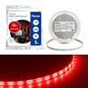 Cветодиодная LED лента Feron LS603, 60SMD(2835)/м 4.8Вт/м  5м IP20 12V красный - фото 88669