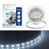 Cветодиодная LED лента Feron LS606, 60SMD(5050)/м 14.4Вт/м  5м IP20 12V 6500К - фото 91184