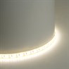 Светодиодная LED лента Feron LS626, 180SMD(2835)/m 17W/m 12V 5000*10*1.22мм 4000К IP65 - фото 91799