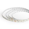 Лента светодиодая стабилизированная 120SMD(2835)/м 8Вт/м 48V 40000*10*1.22мм 4000К, IP20 LS420 FERON - фото 92493