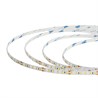 Светодиодная LED лента Feron LS511, 120SMD(2835)/м 11Вт/м 24V 5000*8*1.22мм 6000К IP65 - фото 92740