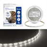 Cветодиодная LED лента Feron LS603, 60SMD(2835)/м 4.8Вт/м  5м IP20 12V 4000К - фото 93740