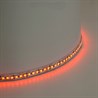 Светодиодная LED лента Feron LS502, 180SMD(5050)/м 16Вт/м 24V 5000*10*1.5мм RGB IP20 - фото 96332