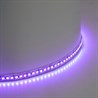 Светодиодная LED лента Feron LS502, 180SMD(5050)/м 16Вт/м 24V 5000*10*1.5мм RGB IP20 - фото 96334