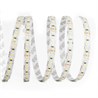 Светодиодная LED лента Feron LS502, 180SMD(2835)/м 16Вт/м 24V 5000*10*1.22мм 6000К - фото 97397