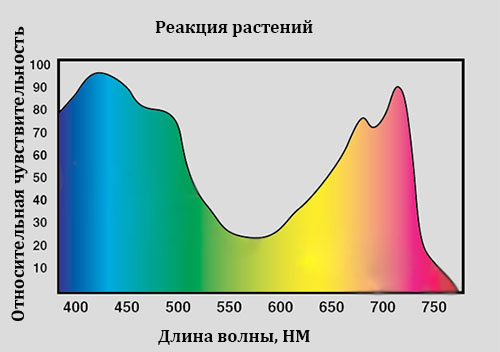 Светодиодный спектр для рассады